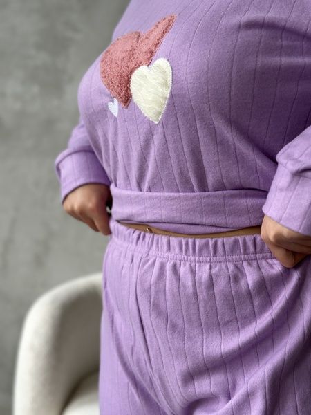 М&rsquo;яка та затишна фіолетова піжама домашній костюм PLUS SIZE з мікрофлісу DO3207 -2XL фото