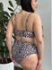 Жіночий роздільний леопардовий купальник PLUS SIZE з поролоновою чашкою SW3596-4XL фото 2