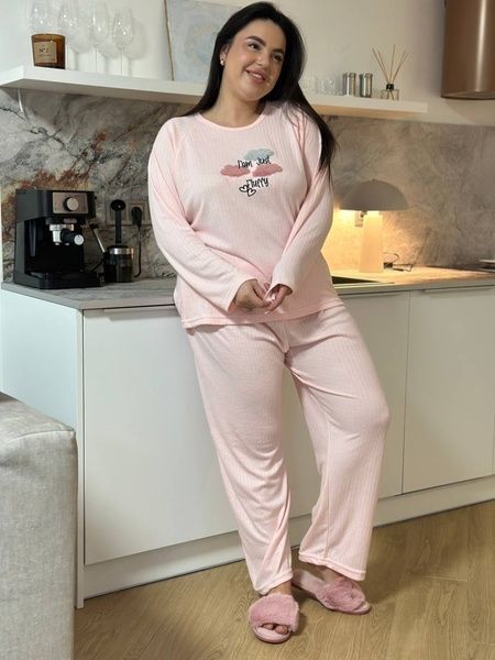 Рожева тепла піжама в розмірі PLUS SIZE мікрофліс DO3206/1-2XL фото