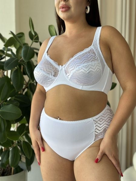 Базовий білий комплект білизни PLUS SIZE мереживний DO107(білий)-90С фото