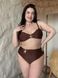 Роздільний коричневий купальник PLUS SIZE з морською зіркою SW4031-XL фото 5